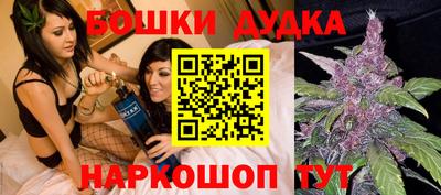 индика Краснознаменск