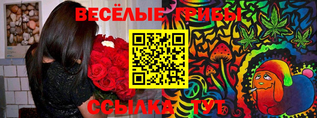 Псилоцибиновые грибы Psilocybine cubensis Краснокамск